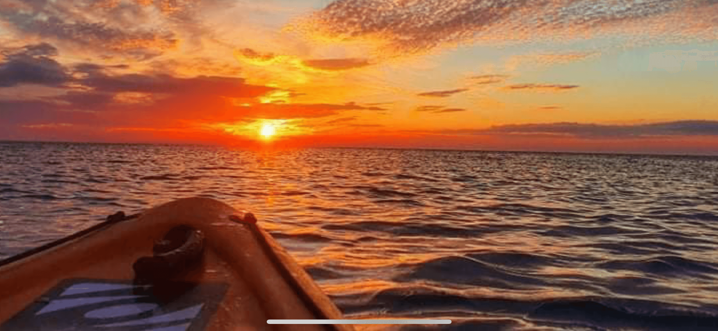 Kayak Tours