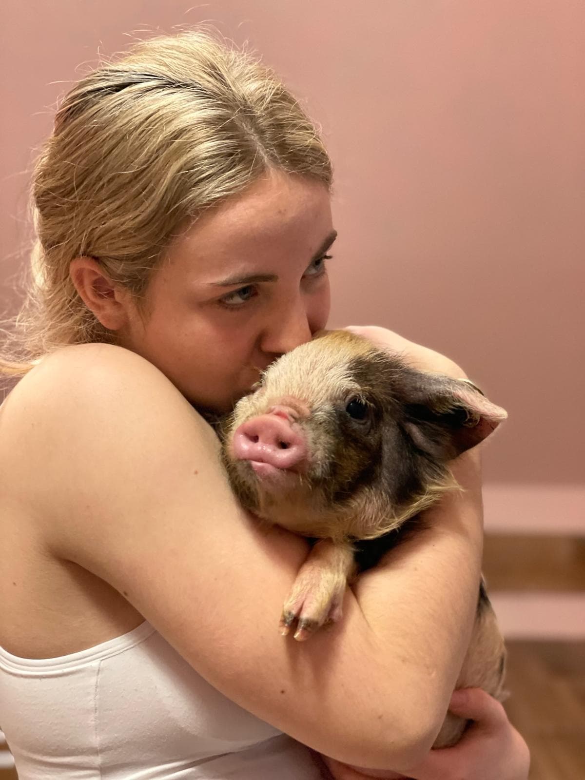 Meet the Baby Animals