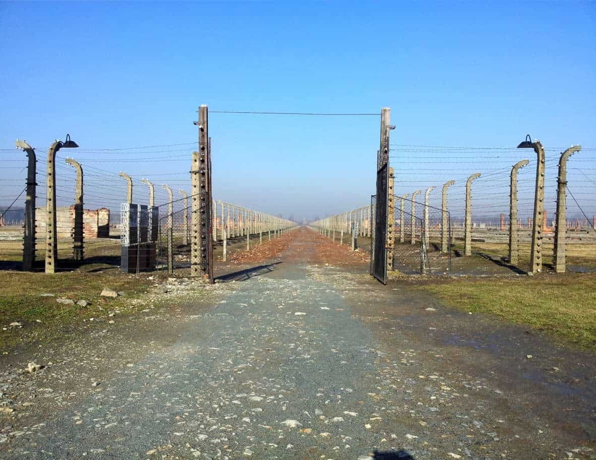Auschwitz-Birkenau & Salt Mine in One Day