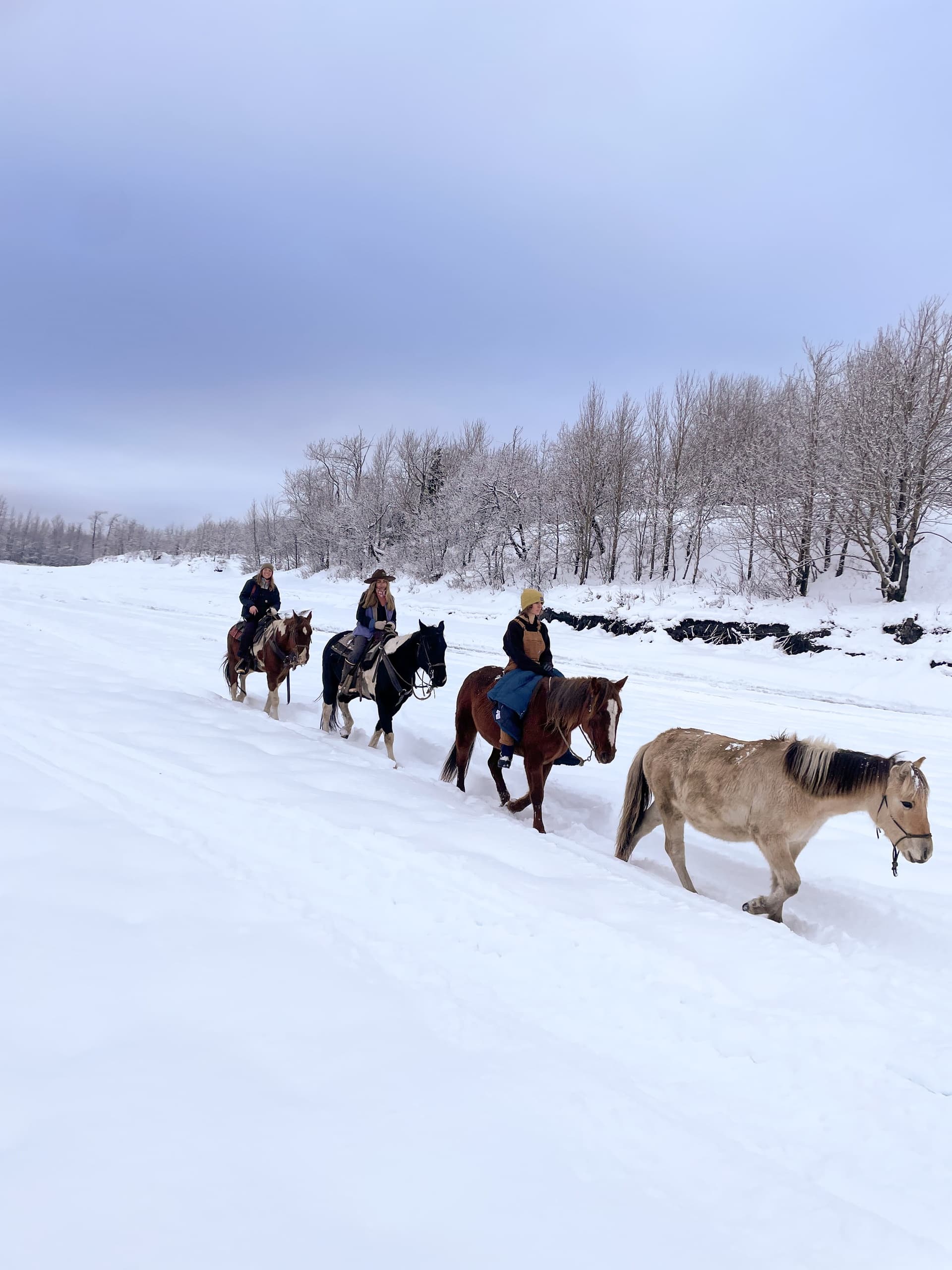 1.5 Hour Winter Trail Ride (Oct-Apr)