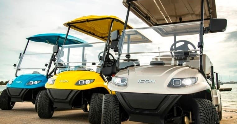 6 Passenger Golf Cart