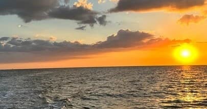 Mangrove and Sunset Excursion • Public
