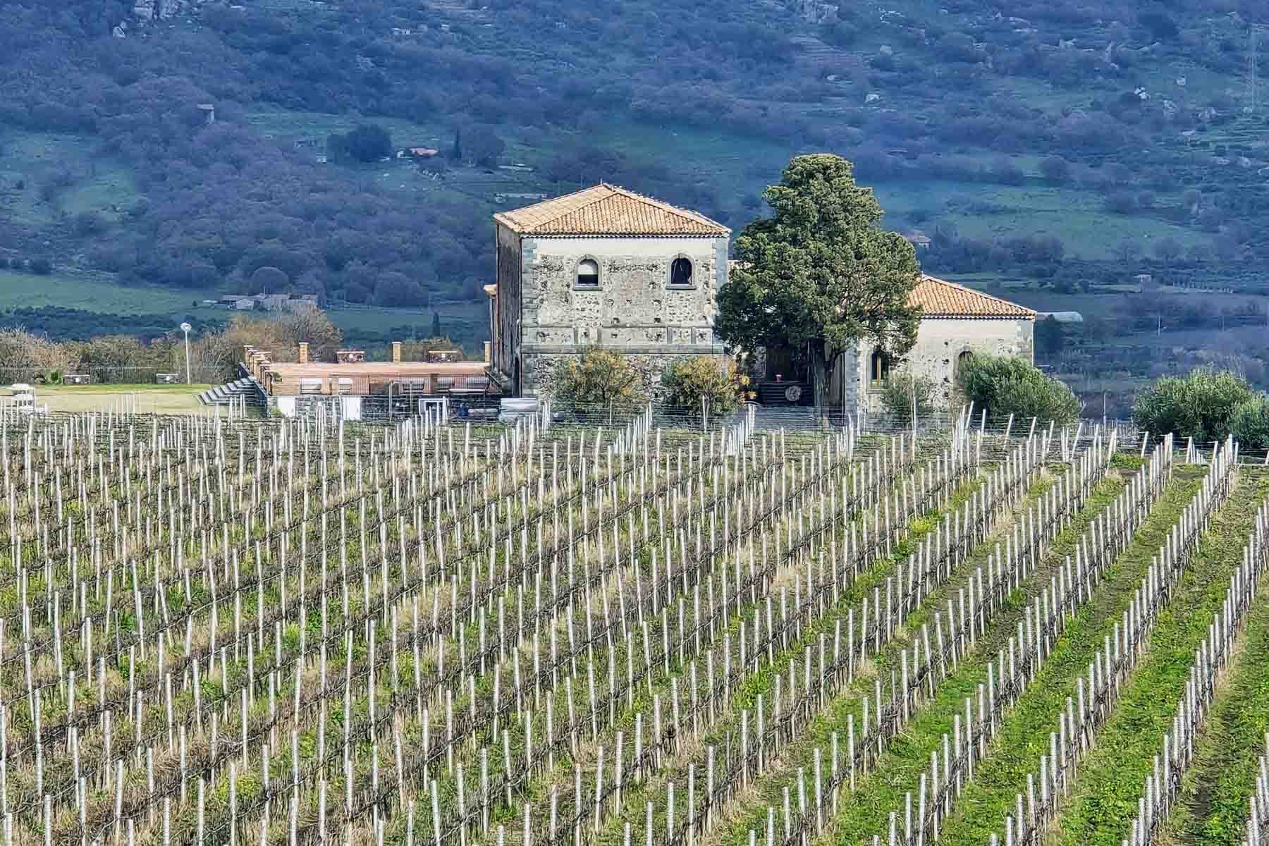 Wine tours from Taormina