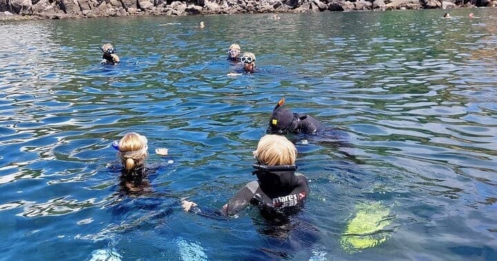 Snorkeling in Terceira island