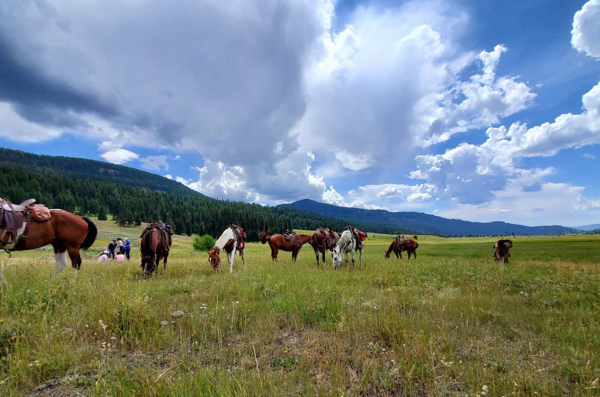 Private Horseback Riding • Half Day