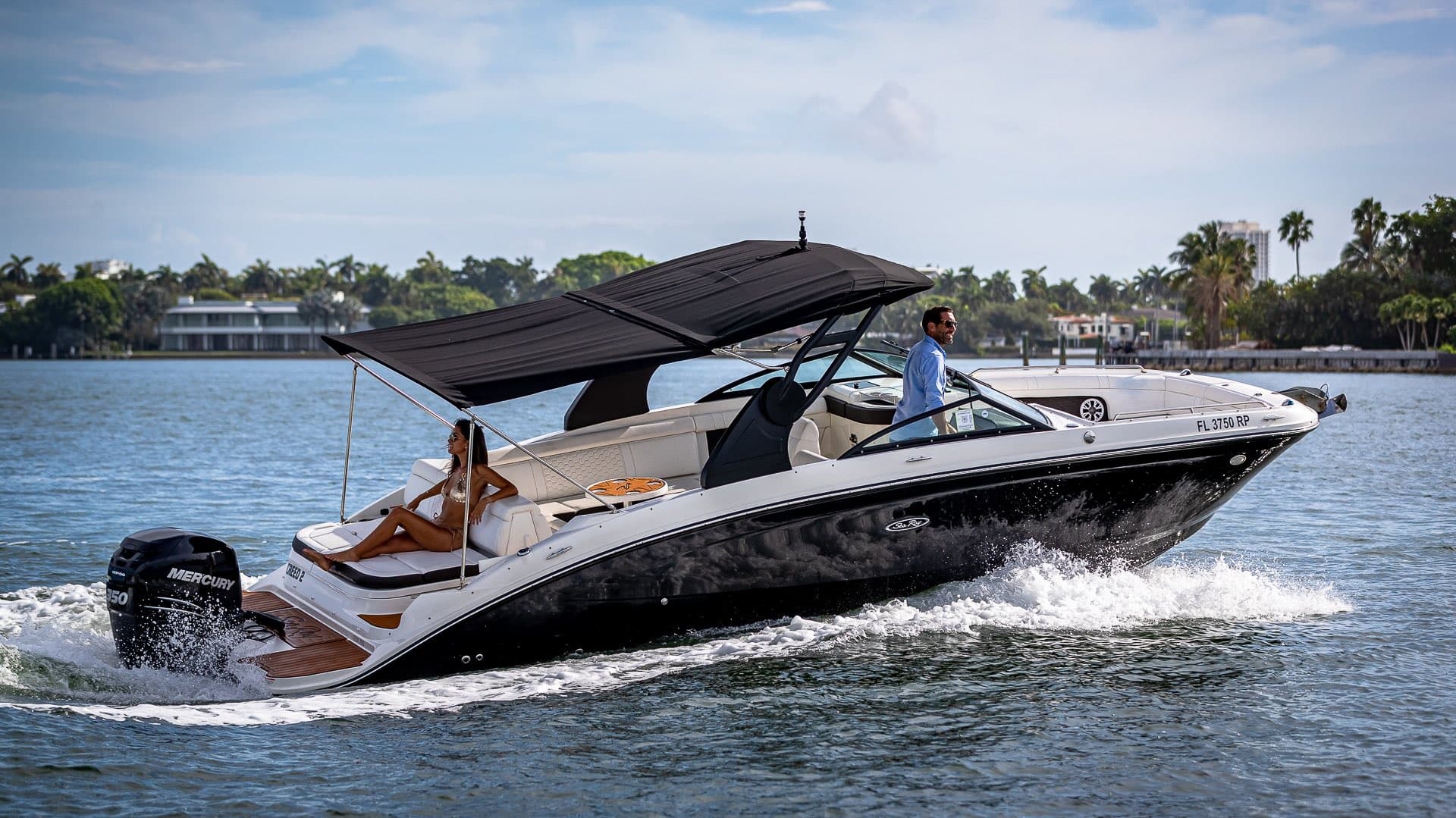 29' SEARAY