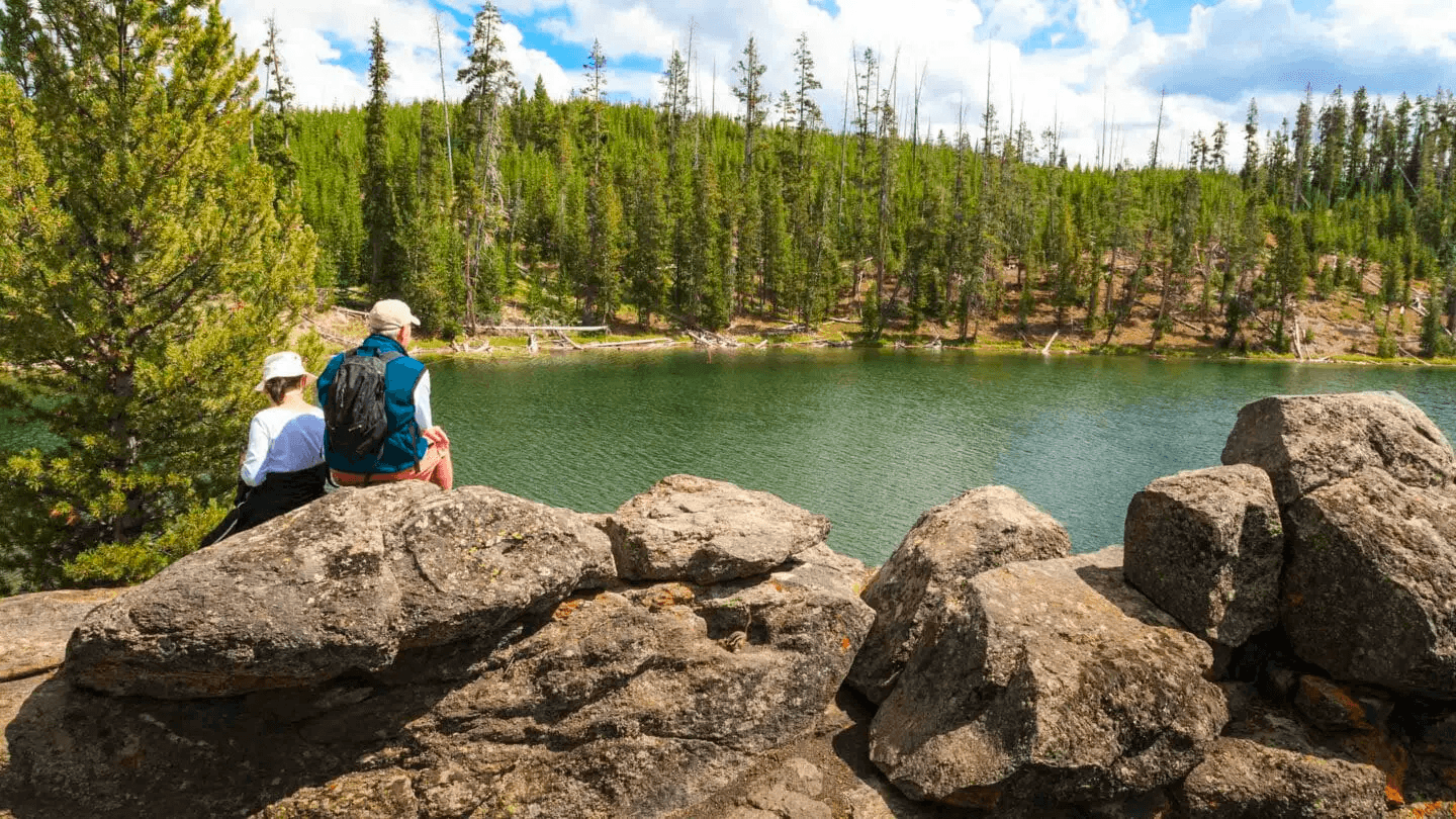 Yellowstone Walking Safari - Private Tour