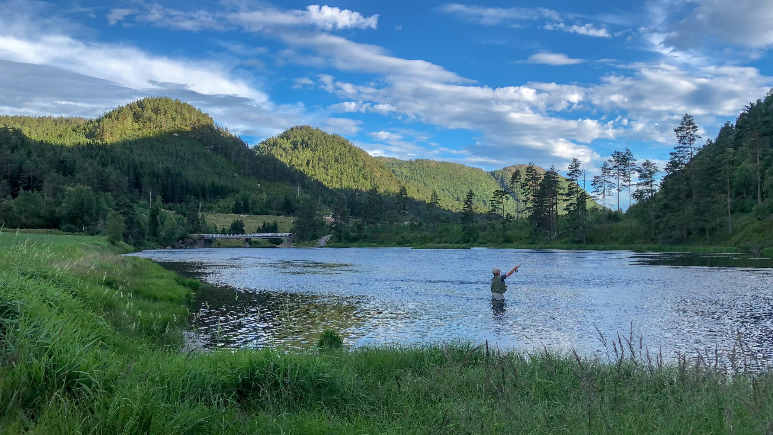 Wild Trout Fishing Experience