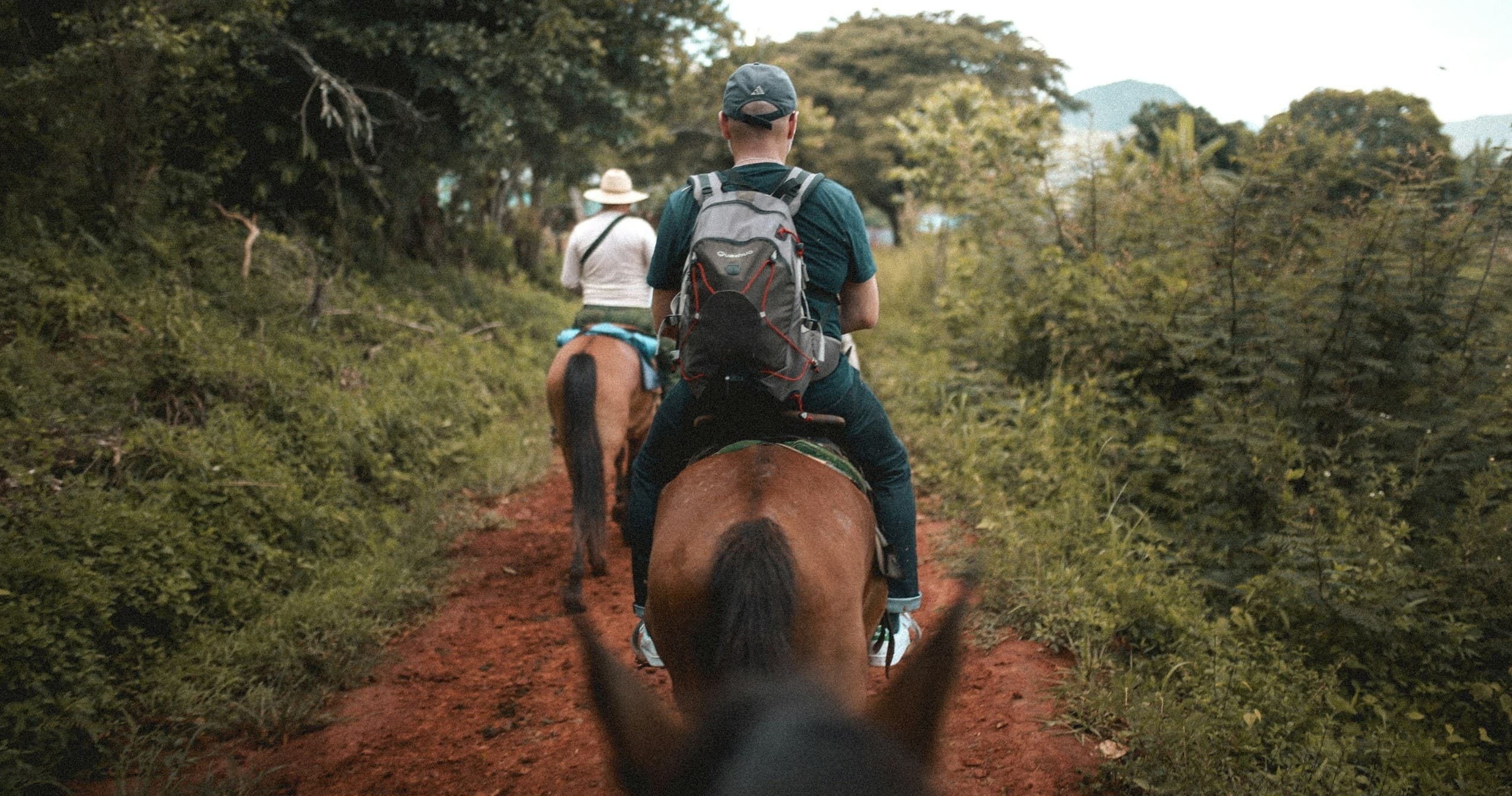 One Hour Junior Riding Lessons