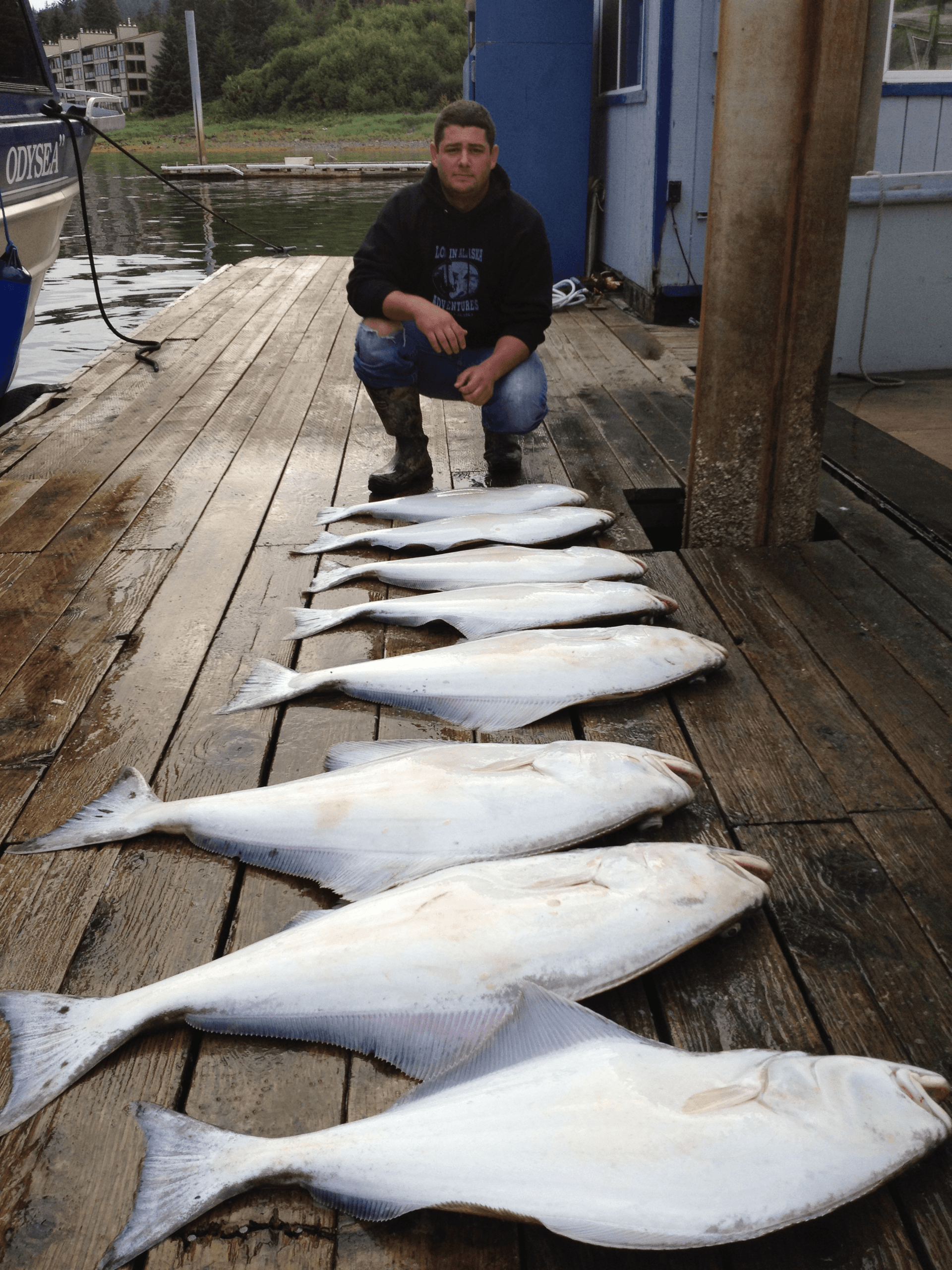 Half Day Halibut