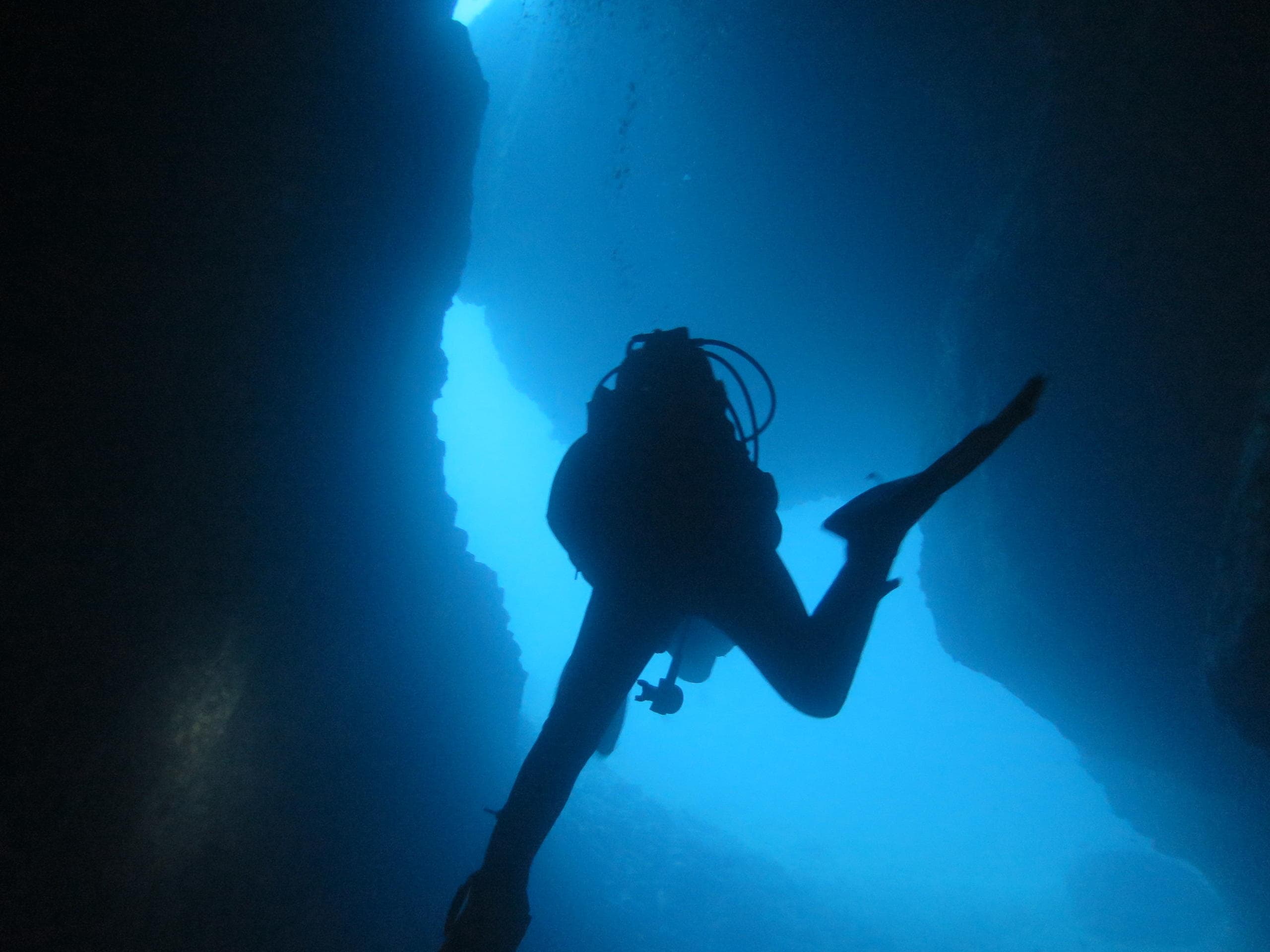 Diving Trips