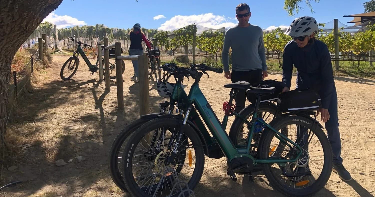 Ebike Tour Lake Dunstan Wine Tasting