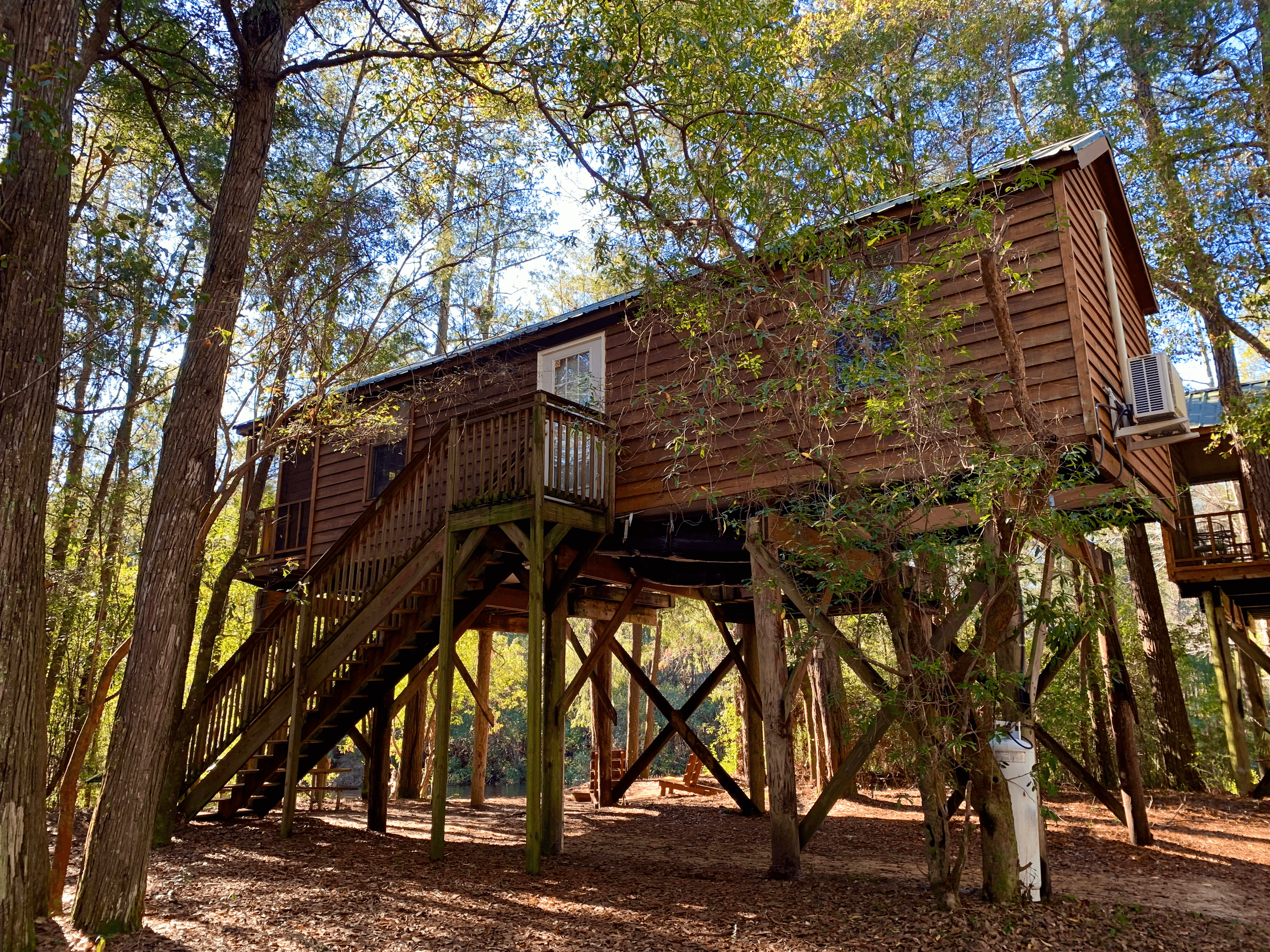 Tupelo Cabin