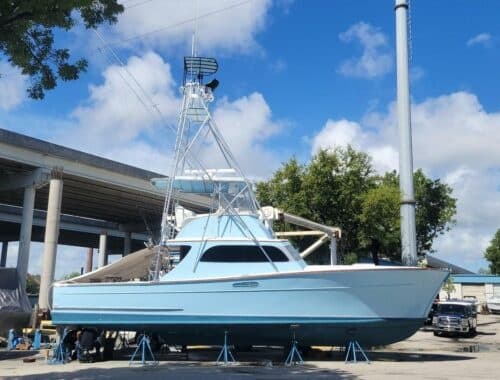 Full Day Charter
