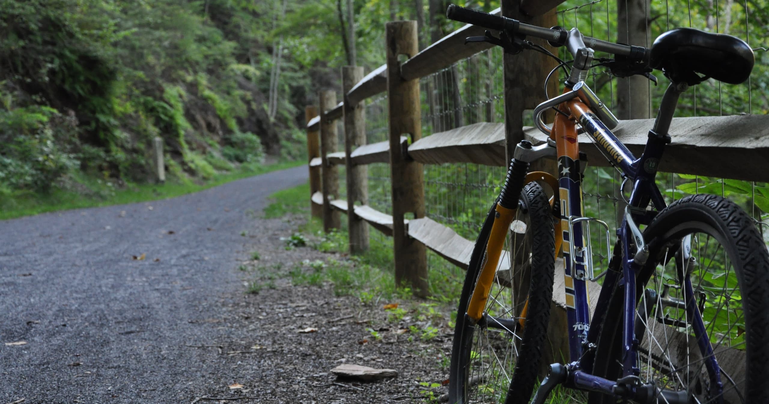 Bike Rental - No Shuttle
