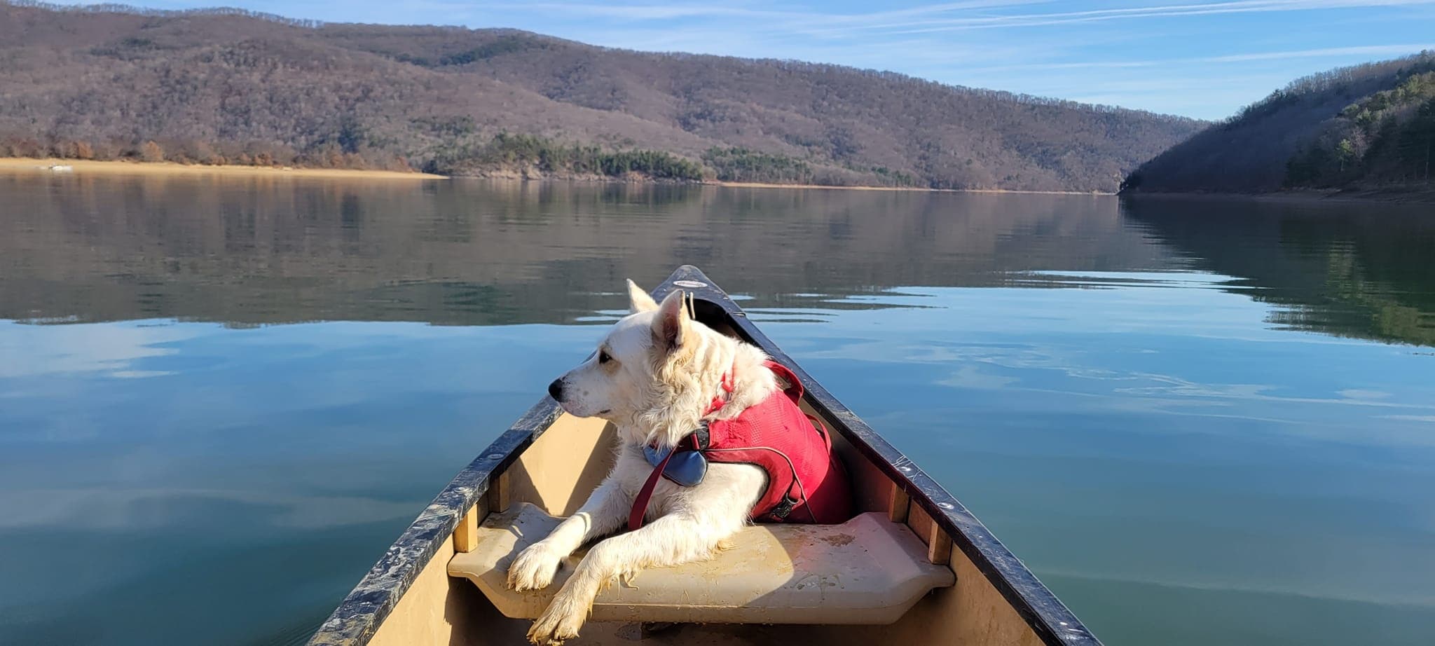 Lake Moomaw Camping