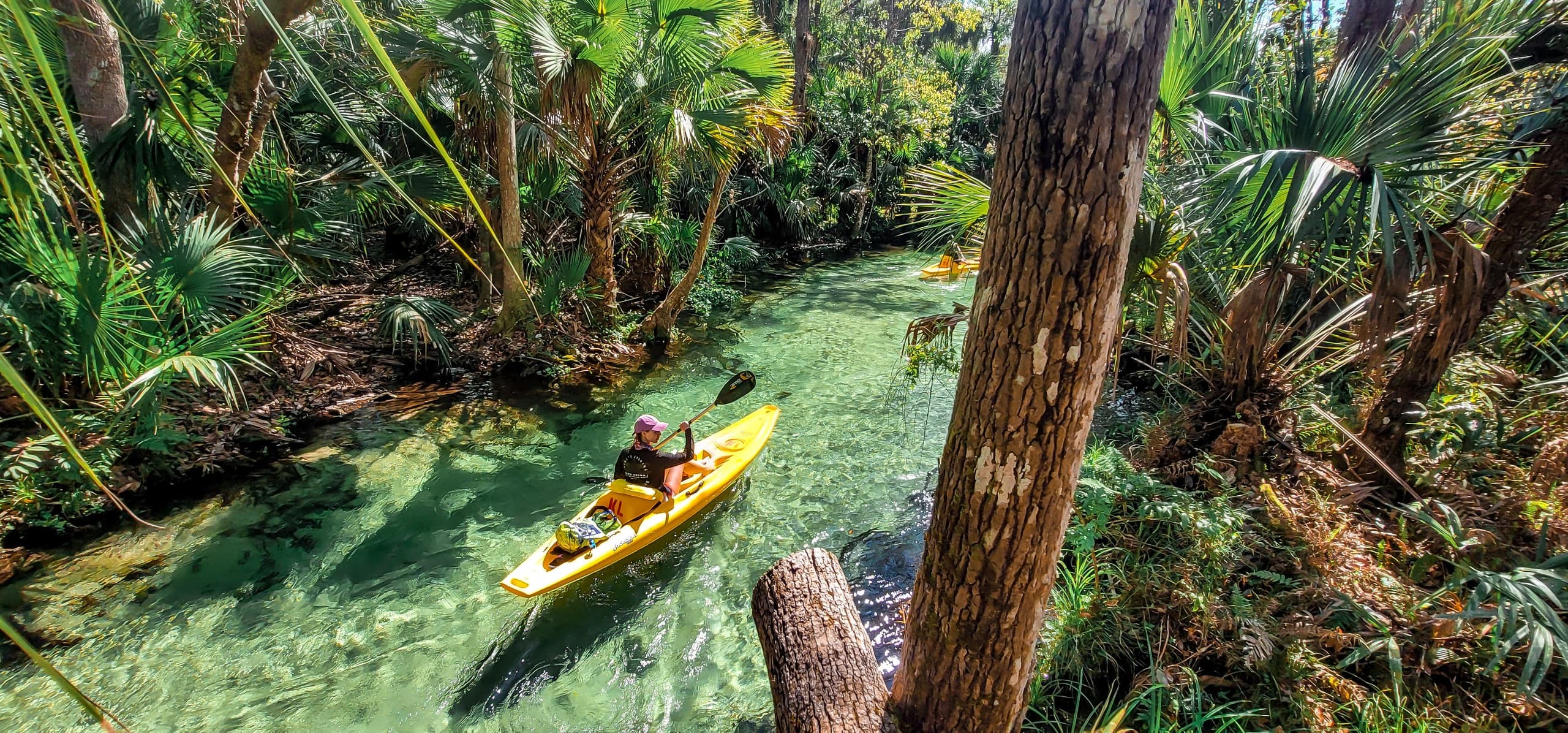 VIP Wild Florida Kayak Adventure