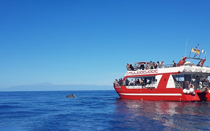Safari de Delfines en Gran Canaria - Multiacuatic