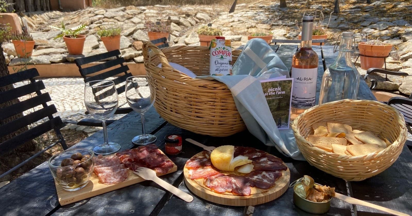 Olive Oil Farm Picnic