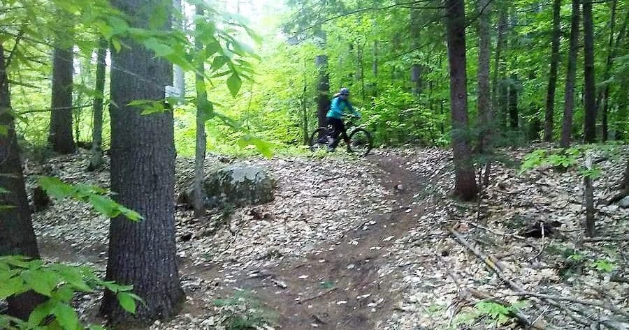 Half Day Bicycle Tour/Lesson
