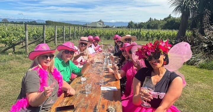 Martinborough Private Chefs Wine Tour with lunch from Wellington