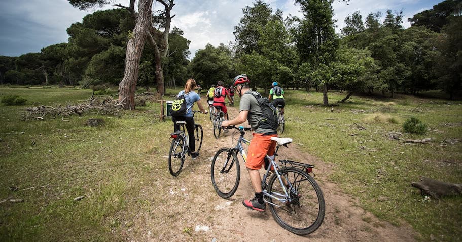 Parco di san Rossore - Tour con App + Itinerario