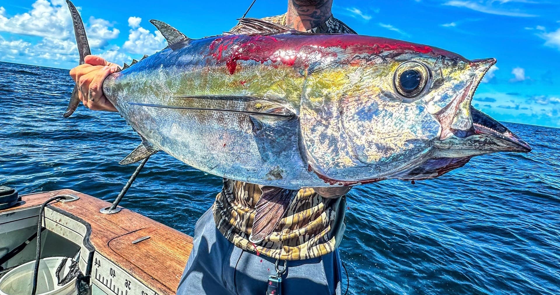 3/4 DAY OFFSHORE ⭐️⭐️⭐️⭐️⭐️