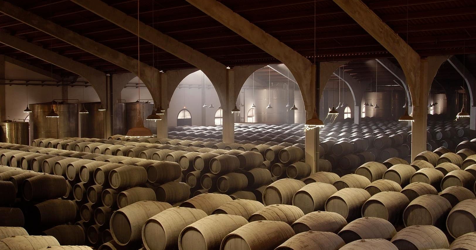 Jerez y Cádiz desde Sevilla - Vino, Caballos y Luz