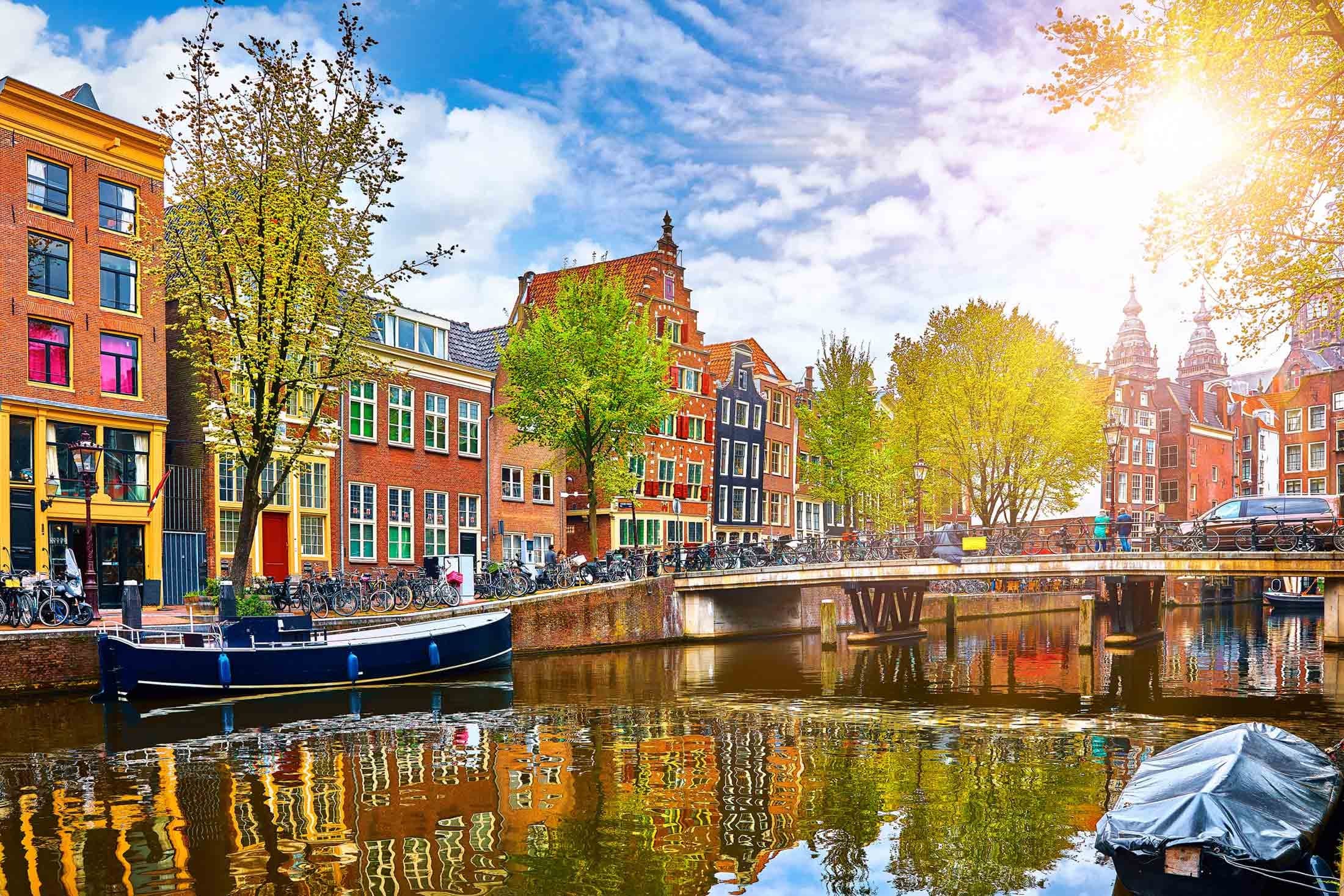 Amsterdam City Tour and Windmills • 3 Hours