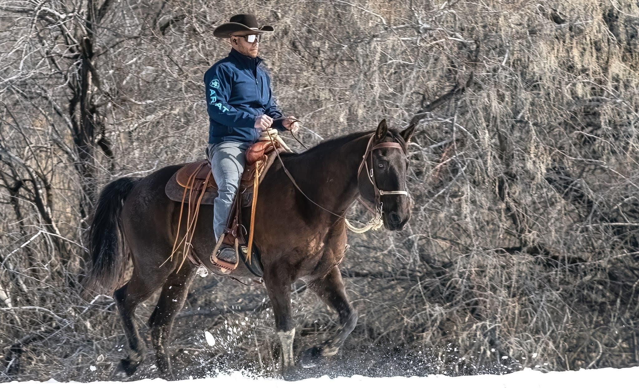Adventure Ride & Horsemanship Lesson