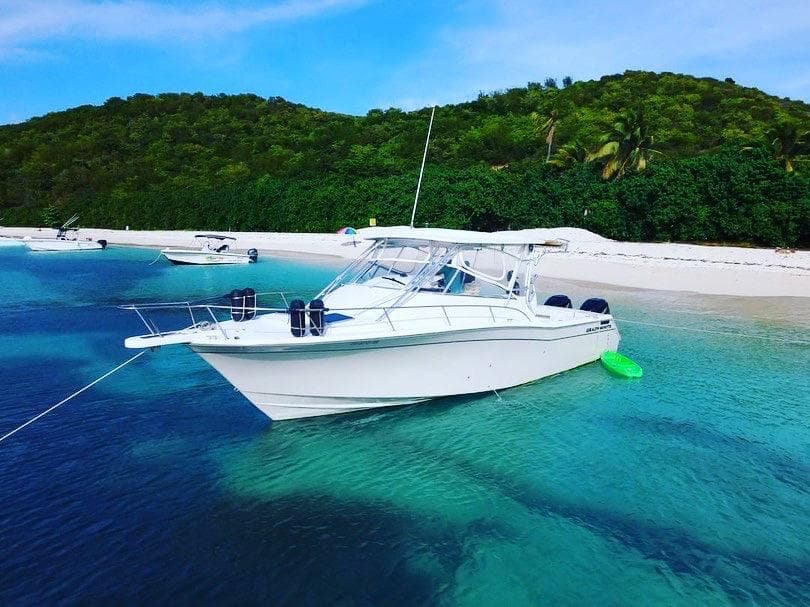 Grady White 35