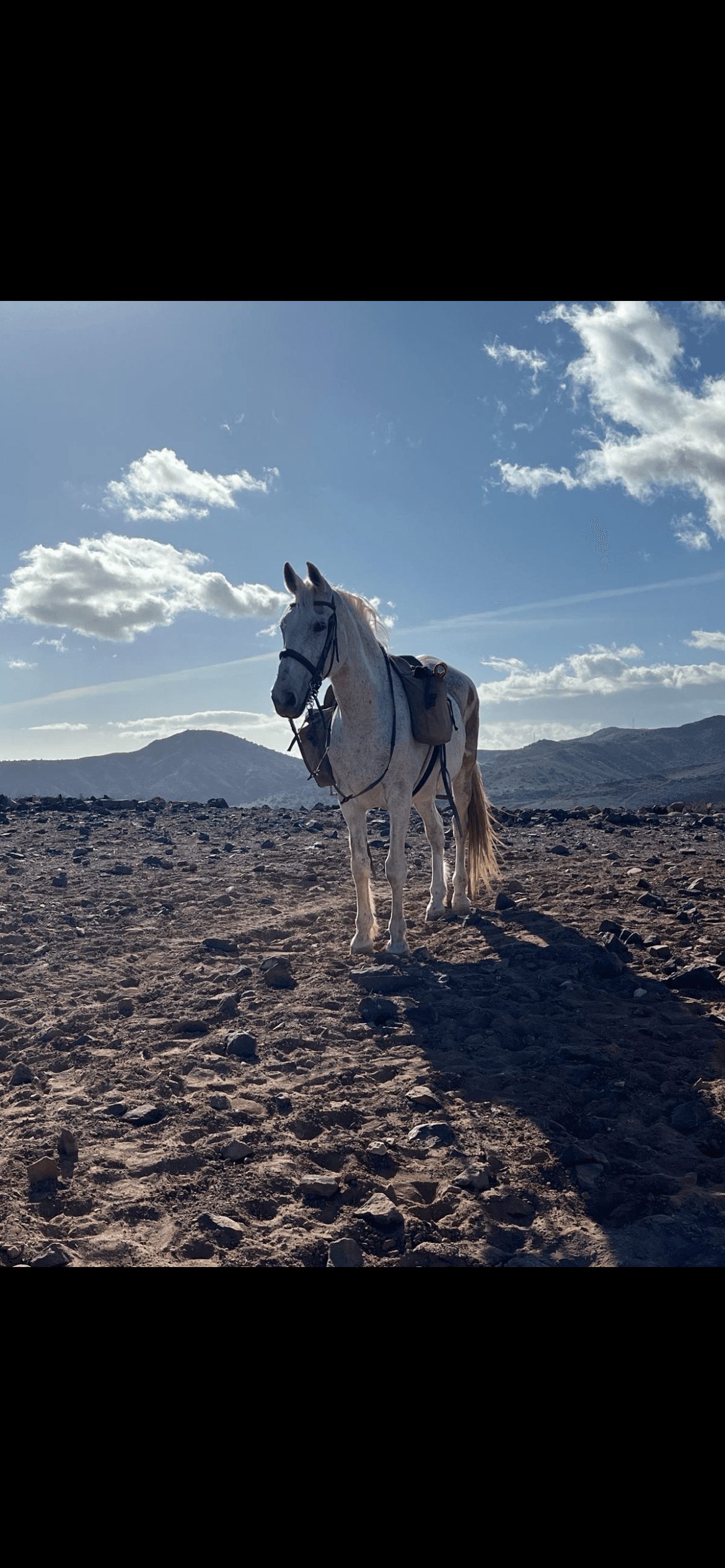 Paseo a caballo - 1 Hora