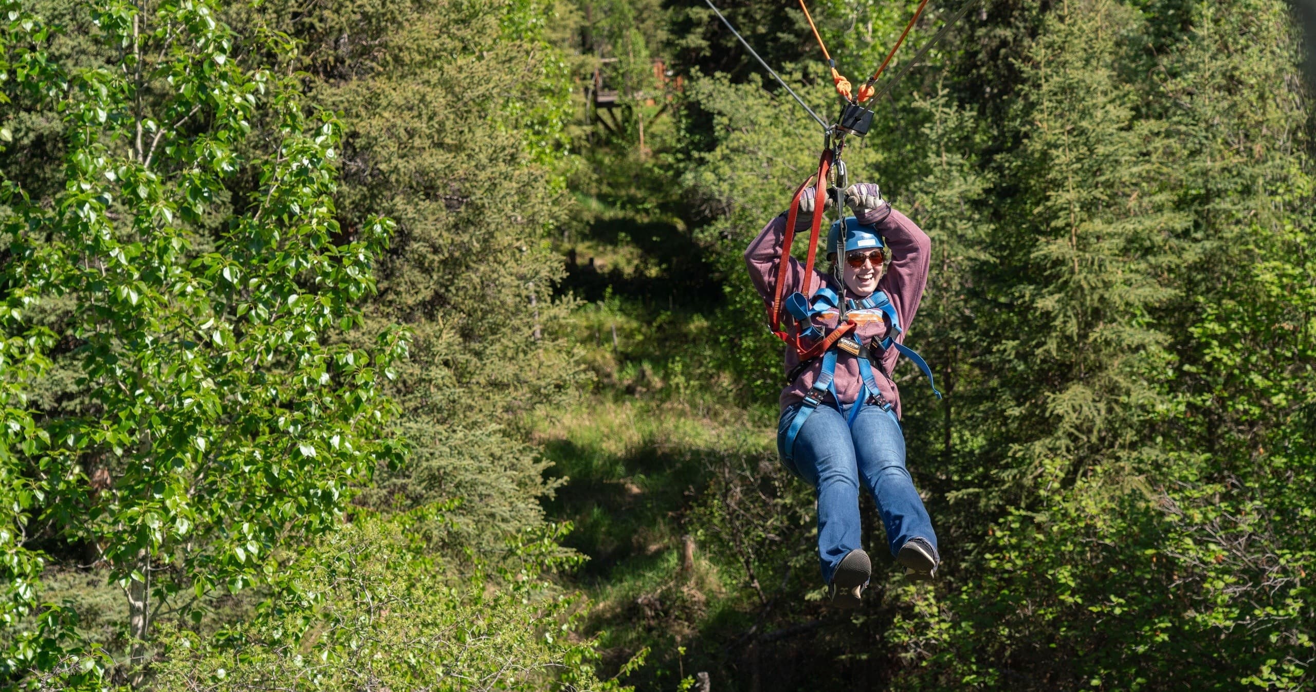 Denali Park Zipline Adventure