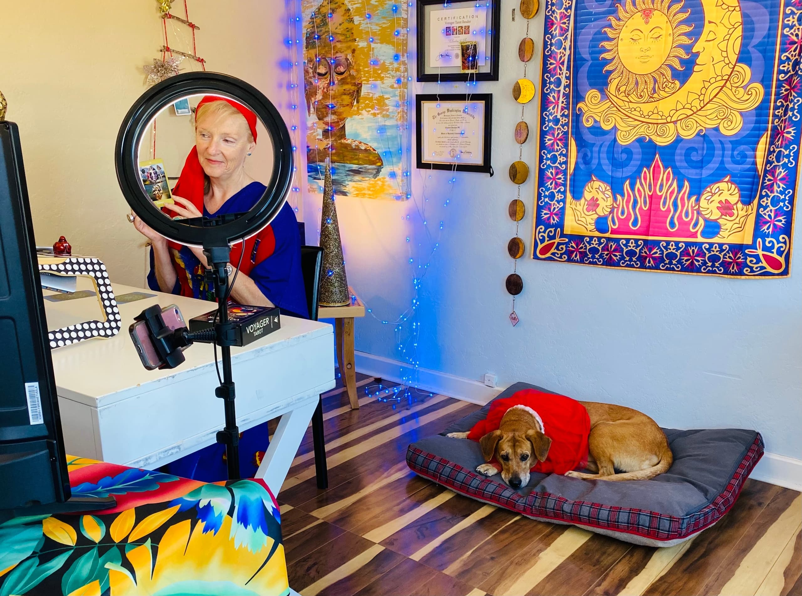 Fun Group Tarot with Therapy Dog