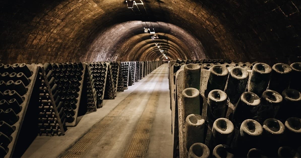 Cellars Group Discovery Experience