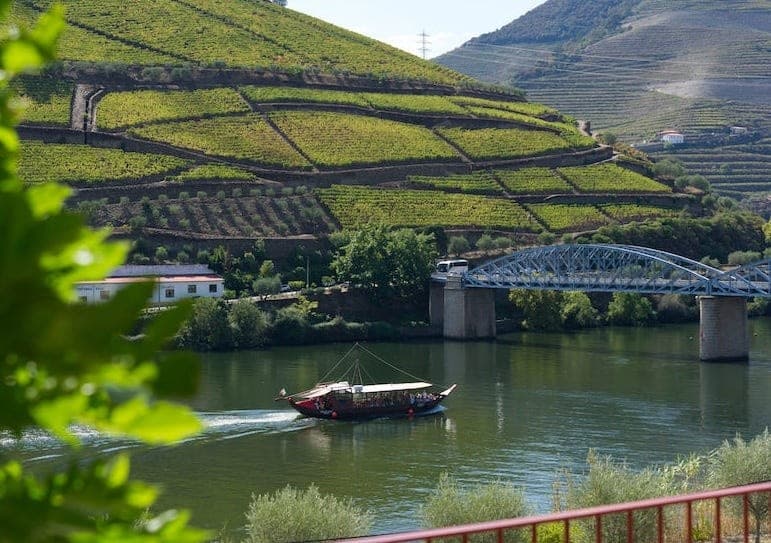 Passeio Privado ao Vale do Douro: 2 Quintas com Provas de Vinho, Almoço e Barco Rabelo
