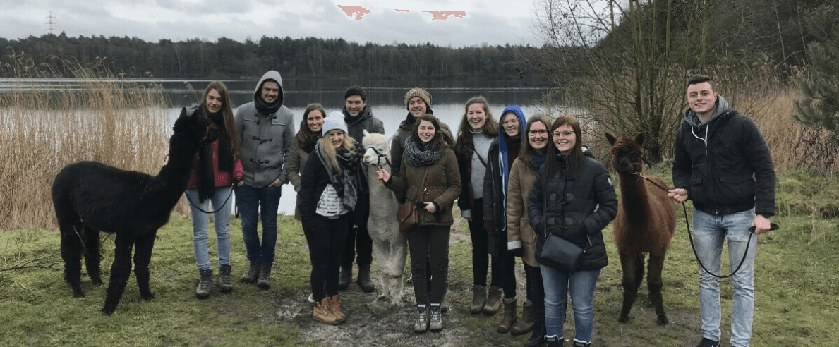 AlpacaWandeling