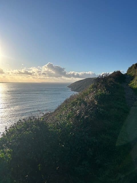 Looe to Seaton Valley Scenic Walk: Woodland, Coast & Tasty Treats