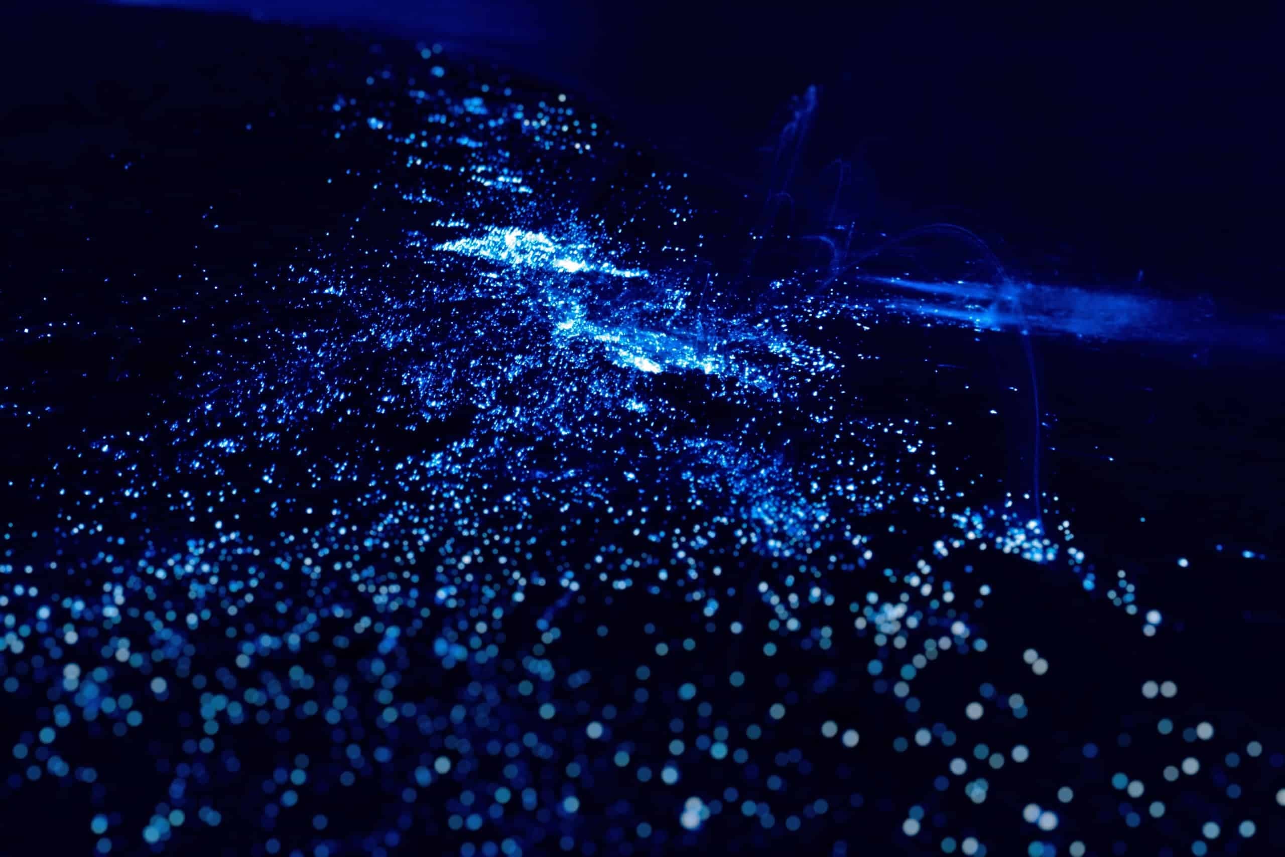 Bioluminescence 3 Hour Kayak Tour