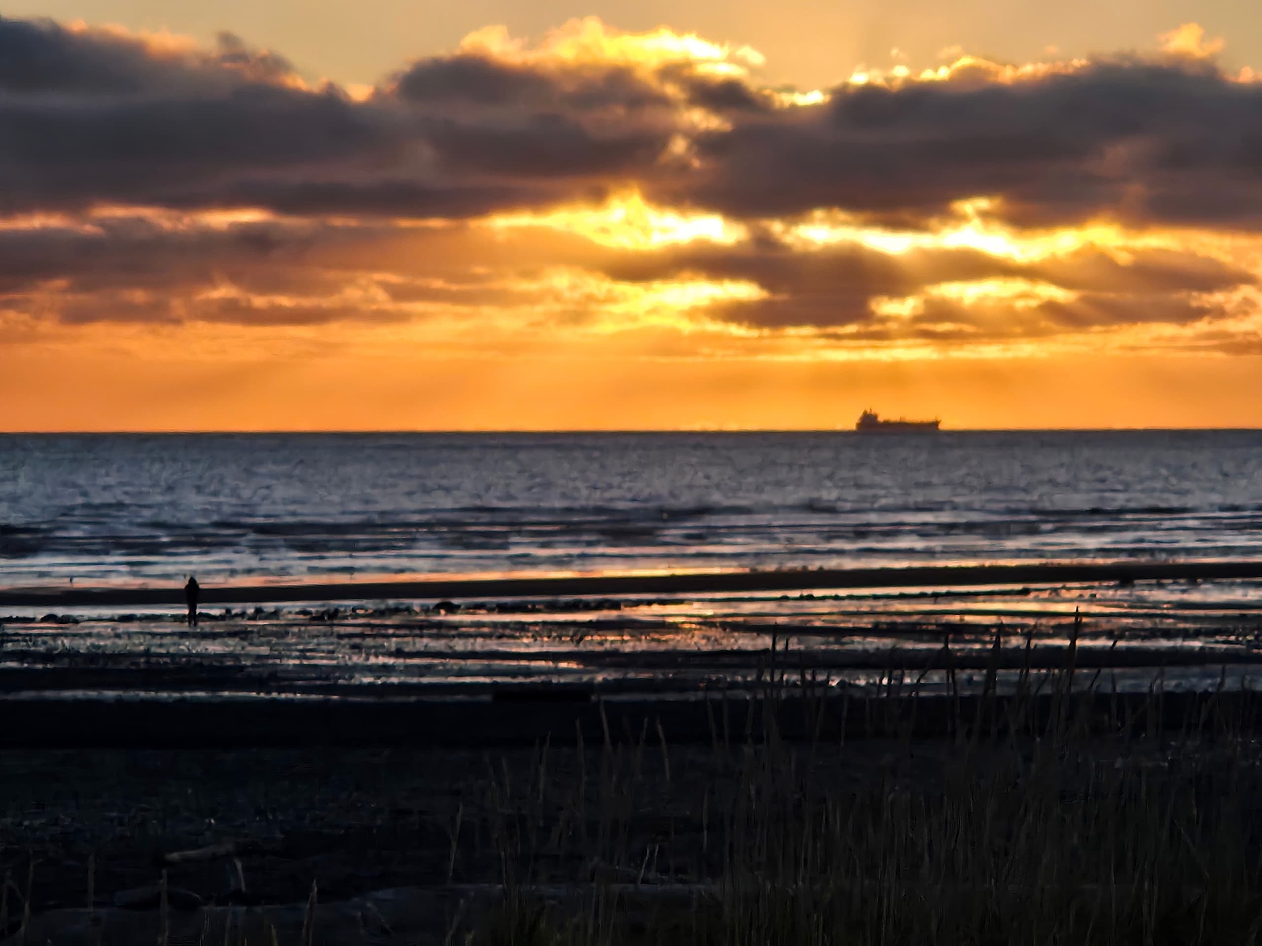 Homer to Kenai/Soldotna