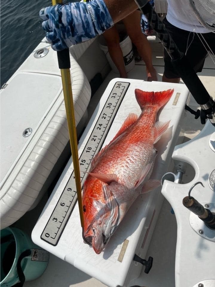 8 Hour Fishing Charter