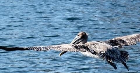Sand Bar/ Sandy Hook Tour
