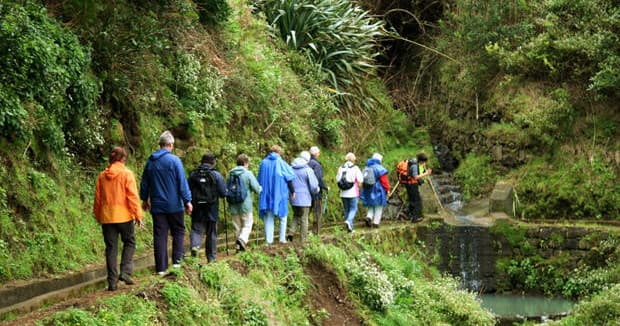 Amazing Vistas (Levada do Castelejo)