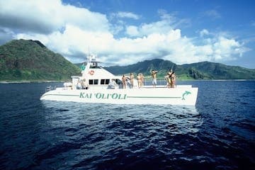 Private Sunset Dolphin Watch & Snorkel Cruise with Dinner and Drinks