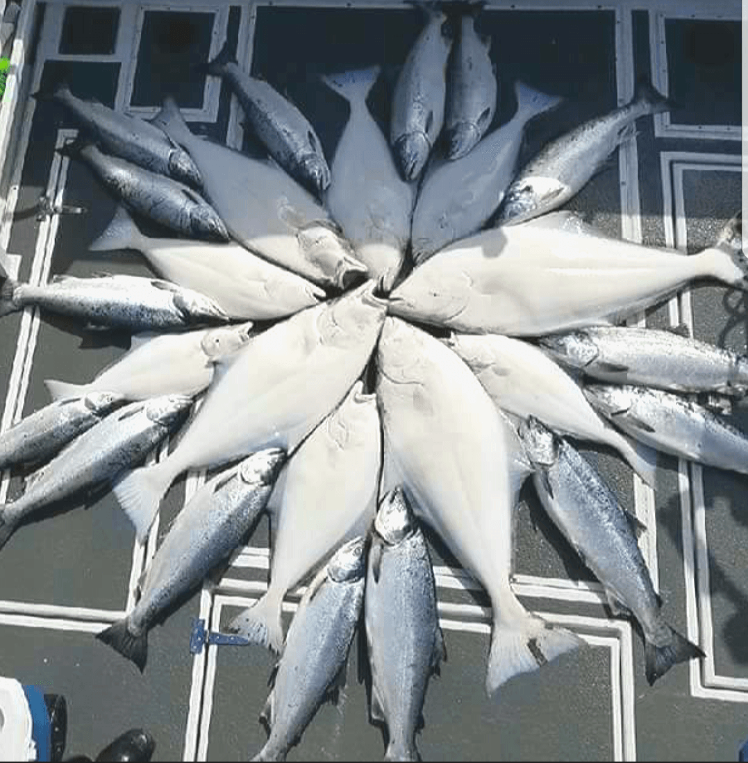 *HOMER* Halibut Combo (Halibut plus 1 other species) Captain's choice on second species - FV/ Game Changer