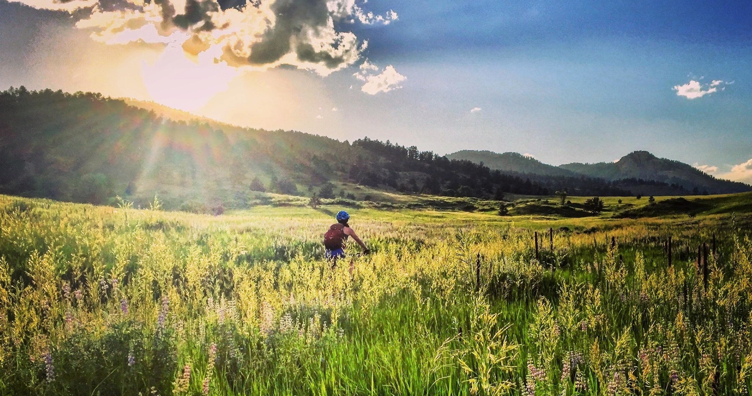 Half Day Custom Mountain Bike Tour