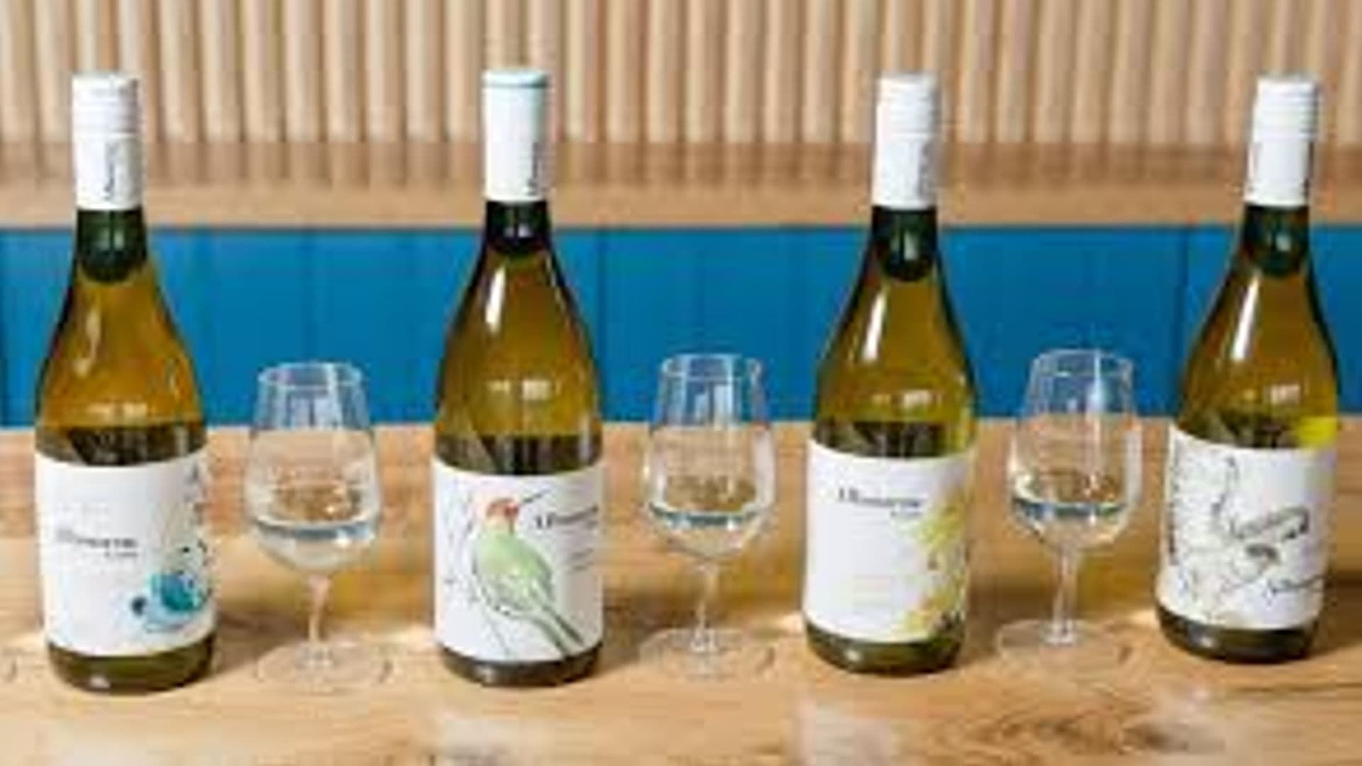 Albourne Estate Wine Tasting Minibus tour from Brighton