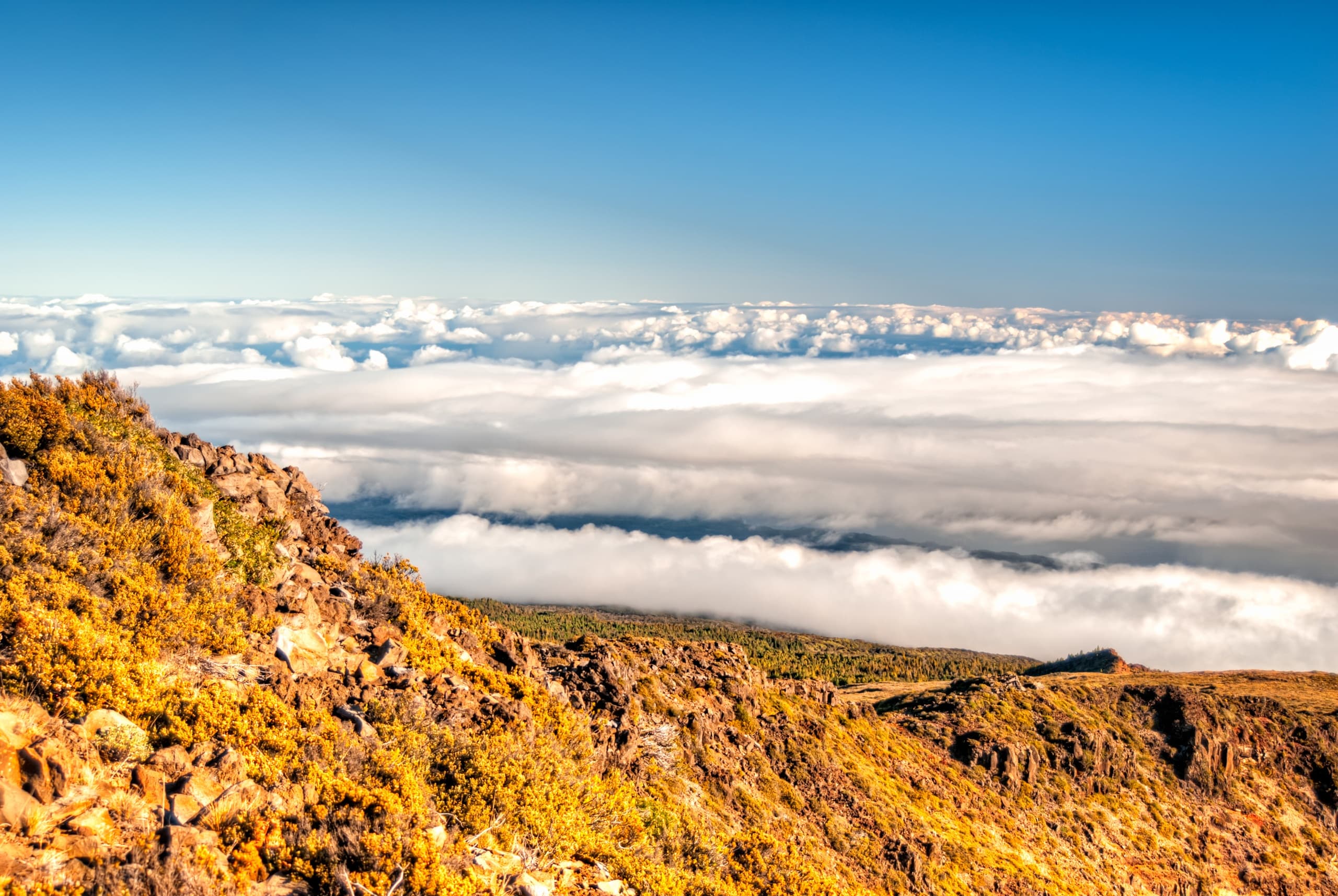 Maui Volcano Quest