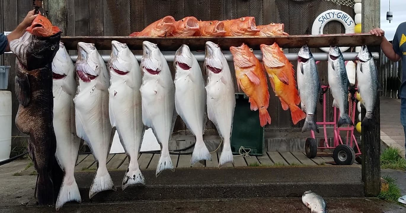 *HOMER* Multispecies (Halibut/rockfish/lingcod/pacific cod/yelloweye) 2- 4 species Game Changer