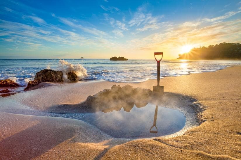 Coromandel Beach, Caves & Forest Private Tour